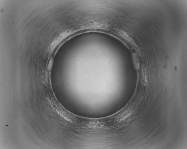 X0000053051316200507251413
