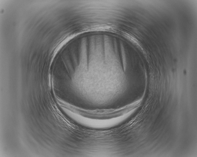 X0000053051324200507251413