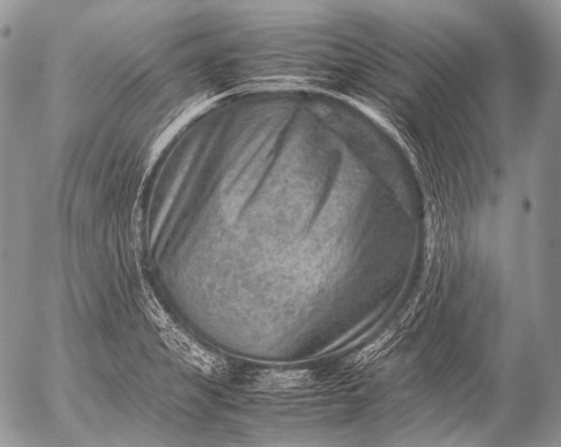 X0000053051325200507251413