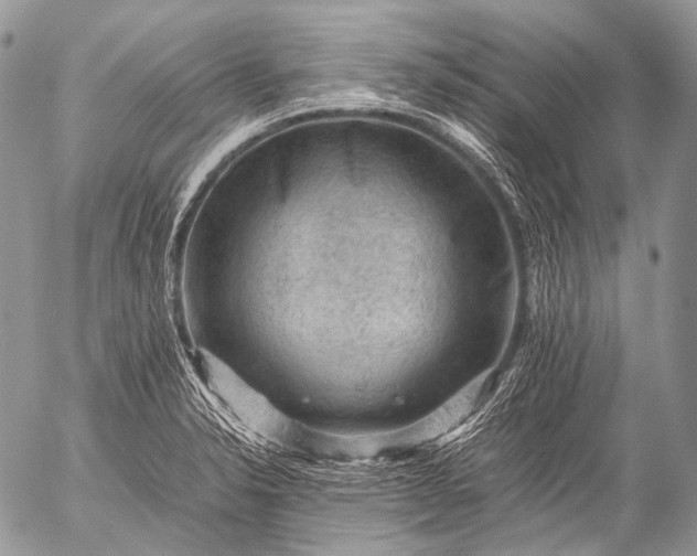 X0000053051326200507251413