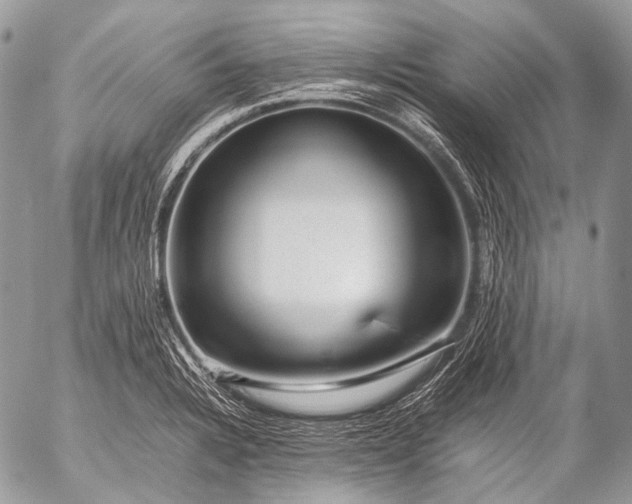 X0000053051328200507251413