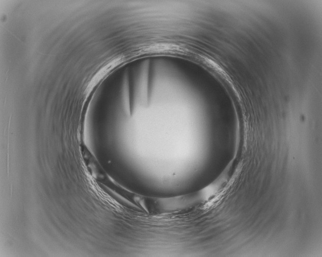 X0000053051330200507251413