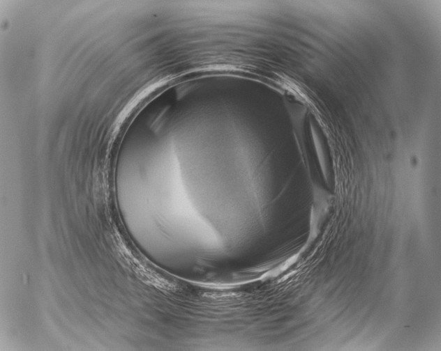 X0000053051331200507251413