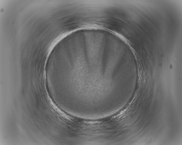 X0000053051335200507251413