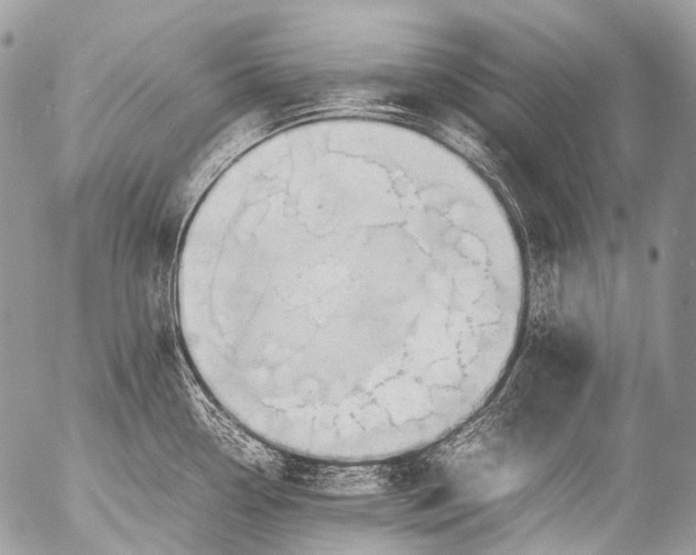 X0000053051338200507251413