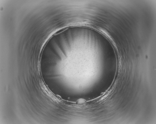 X0000053051340200507251413