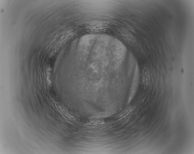 X0000053051346200507251412
