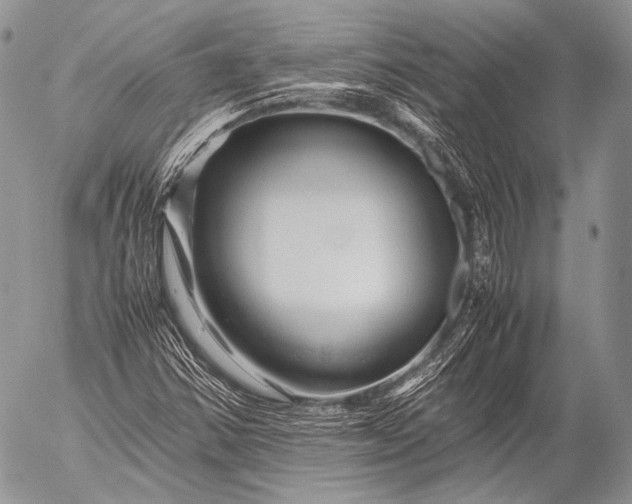 X0000053051354200507251412