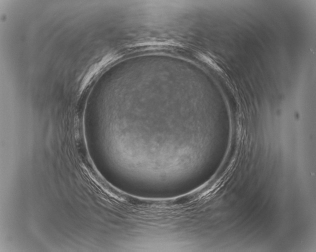 X0000053051357200507251412