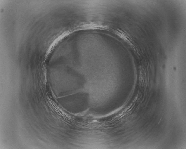 X0000053051358200507251412