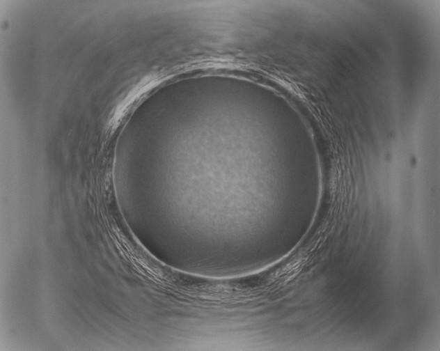X0000053051359200507251412