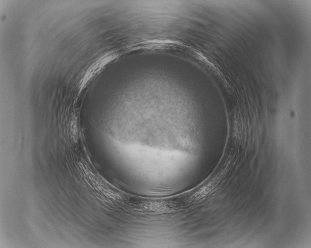 X0000053051362200507251412