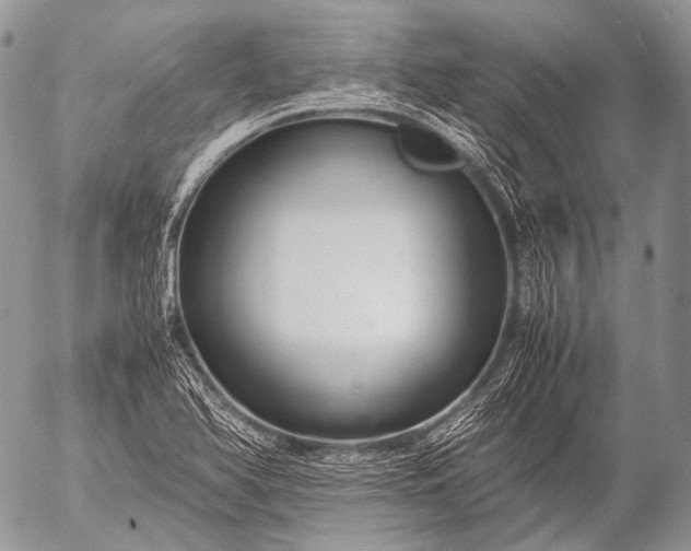 X0000053051366200507251412