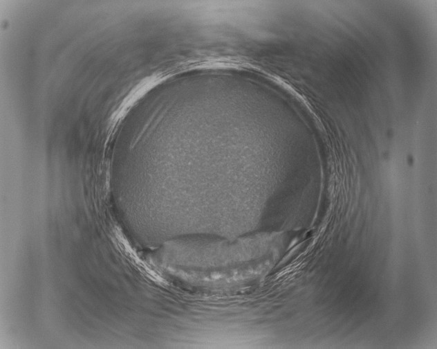 X0000053051367200507251412