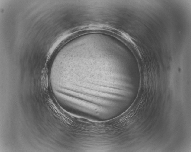 X0000053051368200507251412