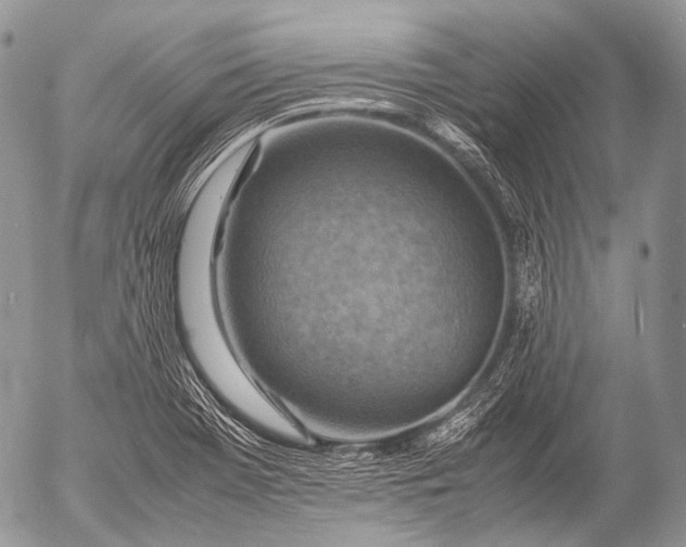 X0000053051369200507251412
