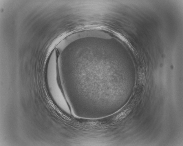 X0000053051373200507251412