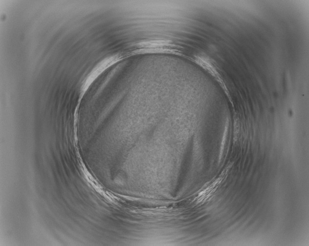 X0000053051386200507251412