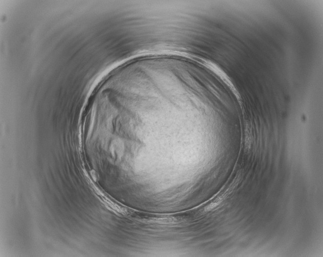 X0000053051388200507251412