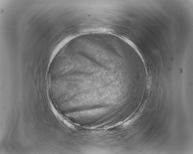 X0000053051389200507251412