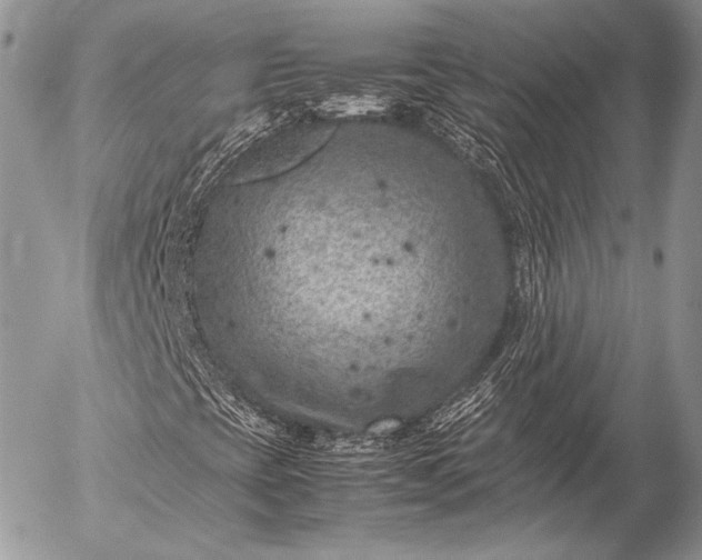 X0000053051393200507251411