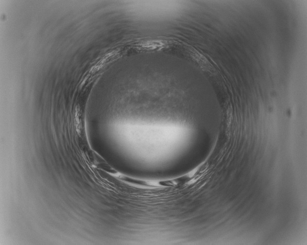 X0000053051394200507251411