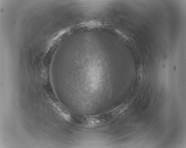 X0000053051398200507251411