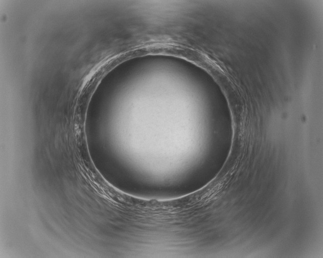 X0000053051400200507251411