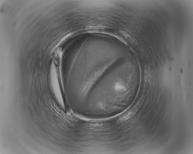 X0000053051401200507251411