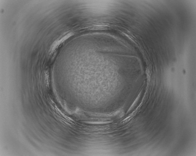 X0000053051402200507251411