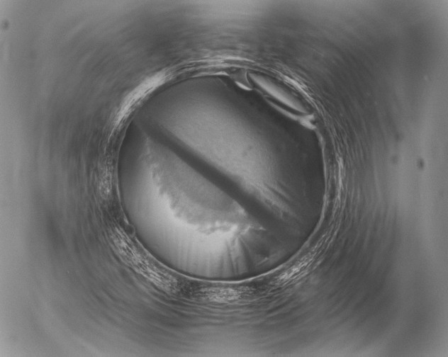 X0000053051405200507251411