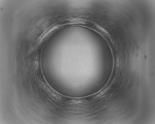 X0000053051407200507251411