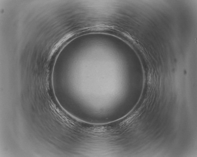 X0000053051410200507251411