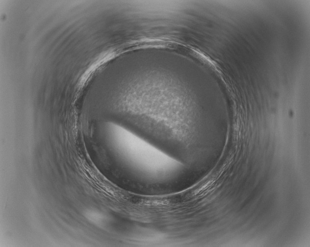 X0000053051411200507251411