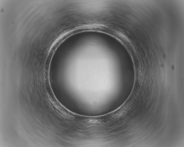 X0000053051412200507251411