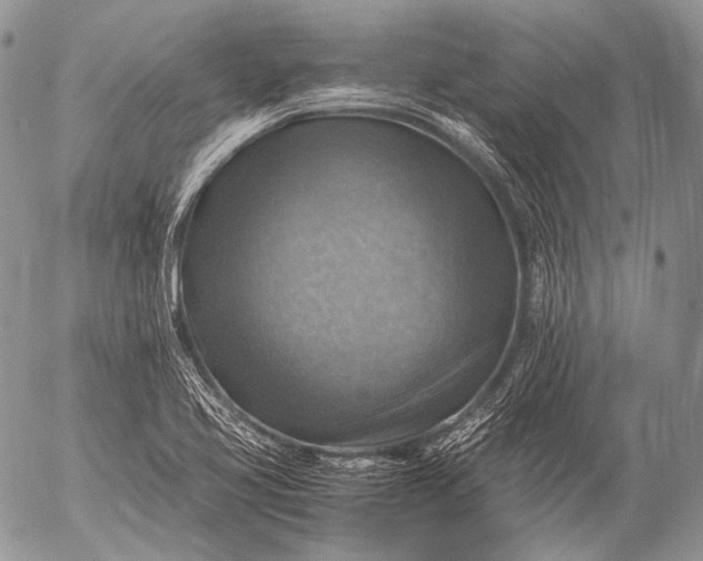 X0000053051413200507251411