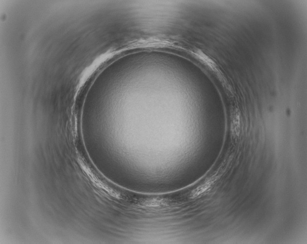 X0000053051414200507251411