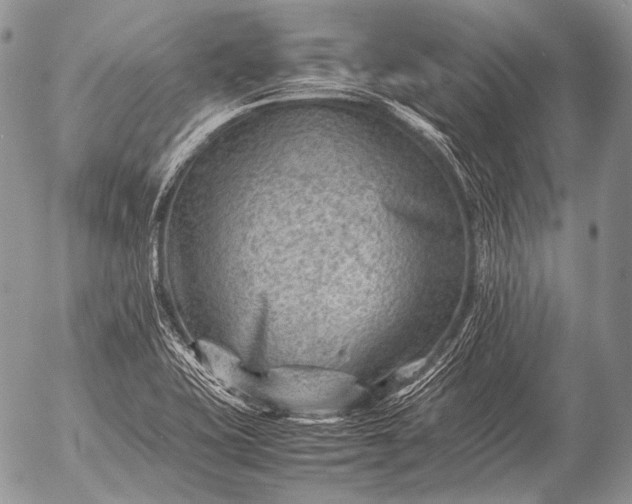 X0000053051415200507251411