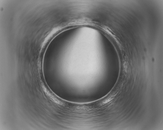 X0000053051416200507251411