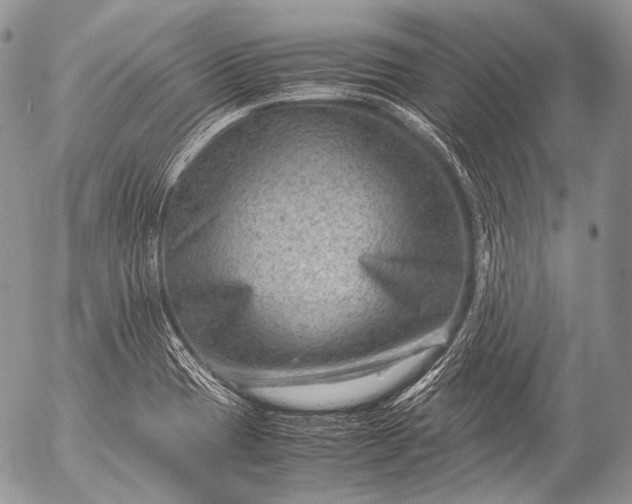 X0000053051417200507251411