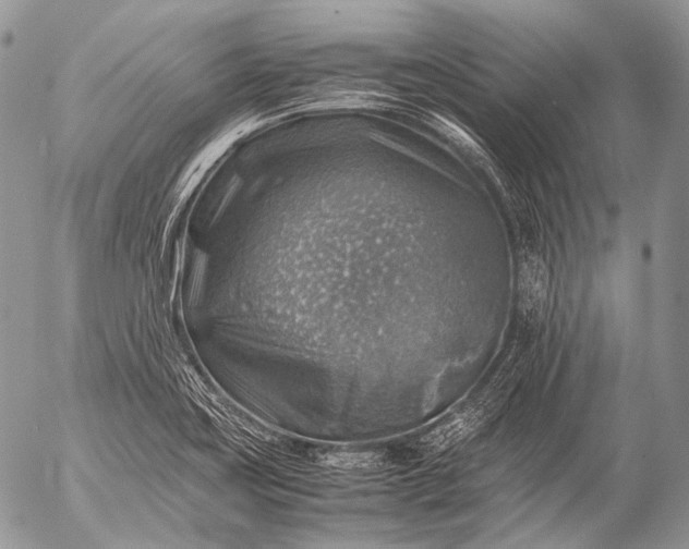 X0000053051419200507251411