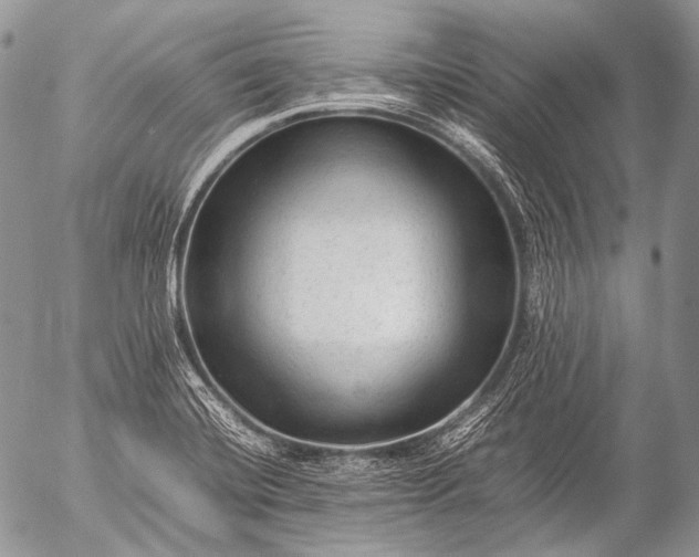 X0000053051420200507251411