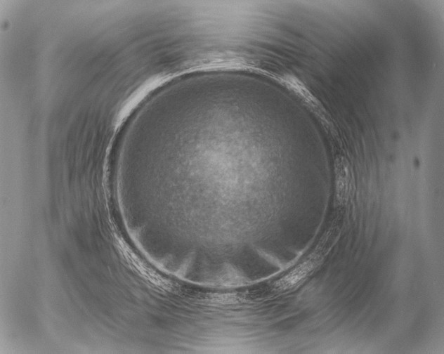 X0000053051422200507251411