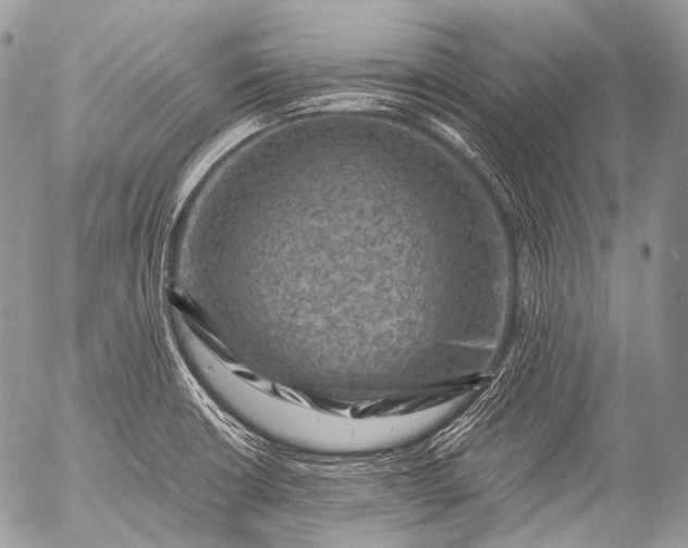 X0000053051426200507251411