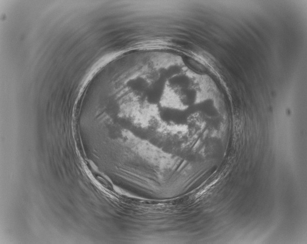X0000053051429200507251411