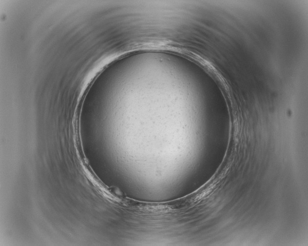 X0000053051432200507251412
