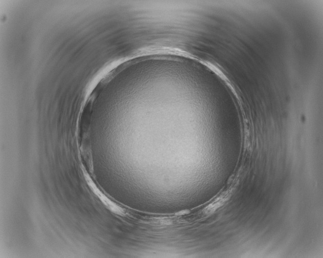 X0000053051438200507251412