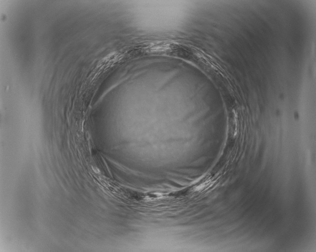 X0000053051441200507251411