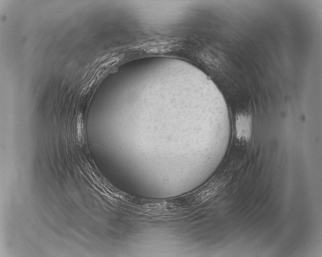 X0000053051444200507251411
