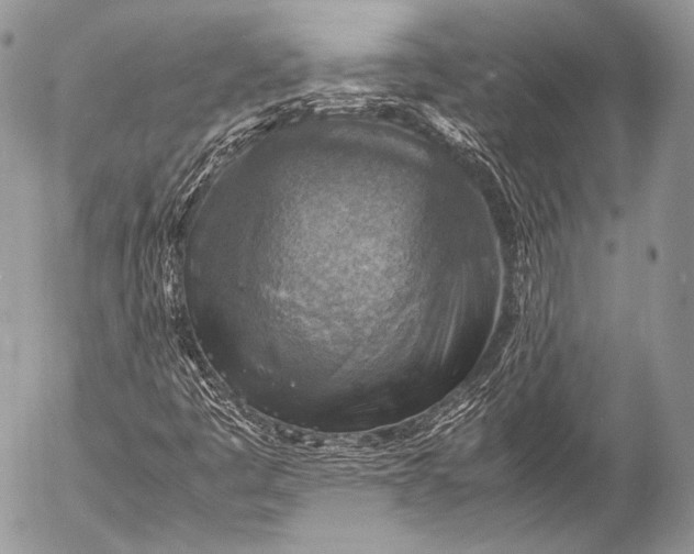 X0000053051445200507251411